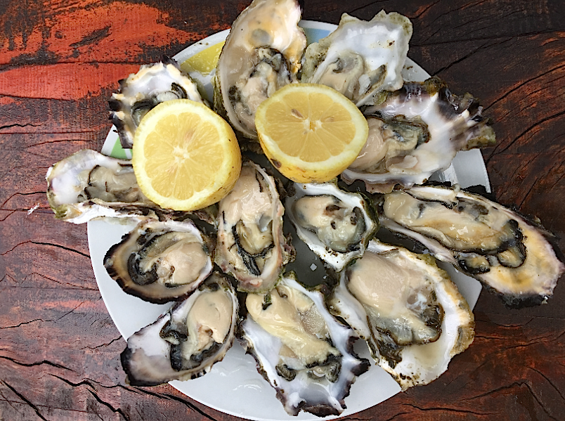 CHILEAN OYSTERS